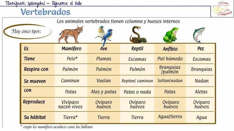 Kártya – Los vertebrados